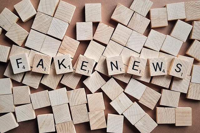 fake, news, media, disinformation, press, politics, brown news, brown media, brown new, fake, fake, fake, fake, fake, disinformation, disinformation, disinformation. Checking whether the sample supports the headline